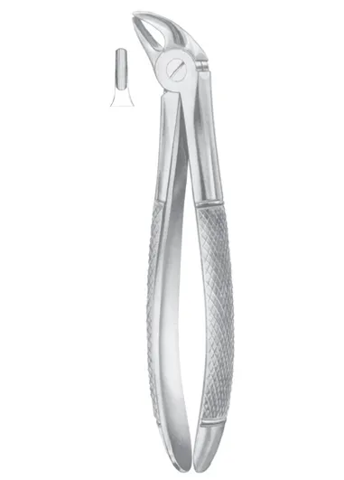 Fig. 38 lower incisors